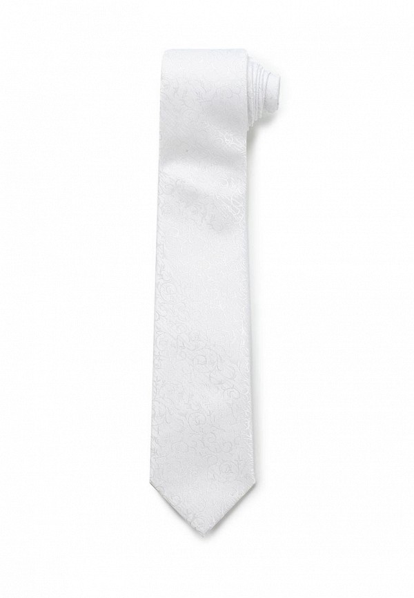Комплект галстук и платок CARPENTER 