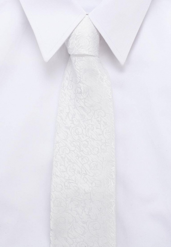 Комплект галстук и платок CARPENTER 