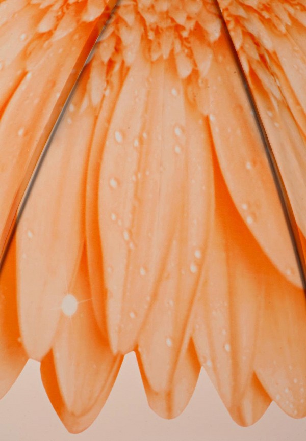 Детский зонт-трость Vitacci цвет оранжевый  Фото 3